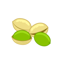 Ginkgo