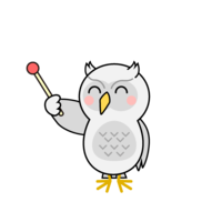 White owl to explain