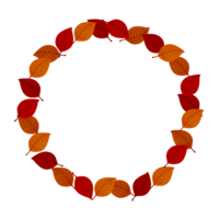 Circle of fallen leaves