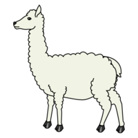 Alpaca