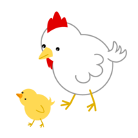鸡和小鸡的父子