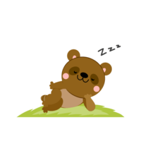 Raccoon dog doze