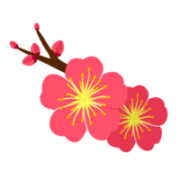 梅の花とつぼみ