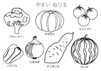 西兰花、南瓜、迷你西红柿的蔬菜粉刷