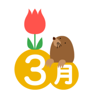 チューリップとモグラの3月