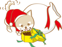 かわいいクリスマス(プレゼントを食べる芝犬サンタクロース)