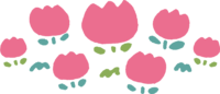 Cute round pink tulip field