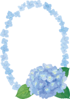 ブルーアジサイの花輪フレーム枠イラスト(おしゃれ綺麗)