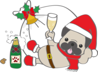 Cute dog Christmas (pug drinking champagne)