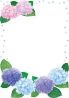 Frame illustration of hydrangea after rain (fashionable and beautiful)
