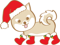 かわいいクリスマス(長靴を履く柴犬サンタクロース)