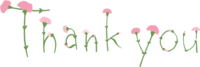 Pink carnation flower character (Thank you) carnation for Mother's Day