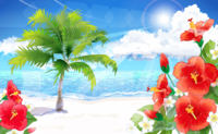 Hibiscus that stands out on the sandy beach-Palm trees-Fashionable free background of the sea