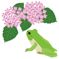 Hydrangea and frog