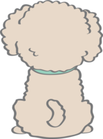 Cute Toy Poodle (back view) dog