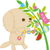 Golden-Retriever (dog) Tanabata (decorated in a strip) Animal