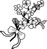 Black and white cherry blossom illustration-fashionable (branch and ribbon)