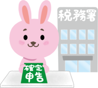 Rabbit filed tax return at tax office