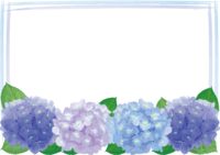 蓝色绣球花的框架插图"时尚漂亮"