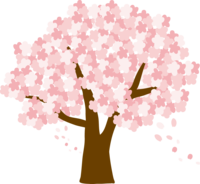 かわいい桜の花びらが舞う大きな桜の木