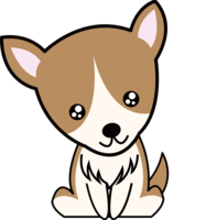 Corgi-dog gif animation