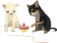Komawashi and Chihuahua (dog) Year of the dog 2018 Zodiac