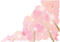 Sakura-Spring background illustration (Spring pink)