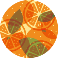 时尚圆中重叠的橘子、切片的橘子和叶子