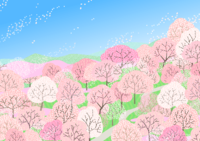 上空から見た桜満開の山の背景