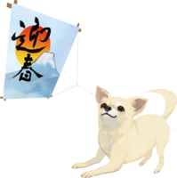 Chihuahua and kite flying-Year 2018 Zodiac