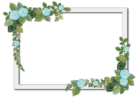 Photo frame of plant decoration