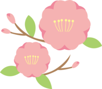 かわいいピンクの桃の花2つ並ぶひな祭り