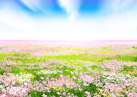 Background illustration of bright flower field / Summer