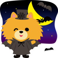 Halloween (bats at night) Pomeranian (dog) cute animal