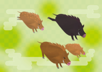 New Year's card background of the year of the Japanese-style wild boar group