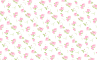 Beautiful rose pattern-background