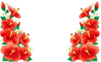 Surrounded by hibiscus-frame-decorative frame background