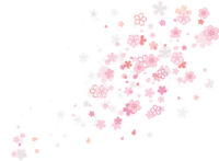 デザイン桜の花びらが美しく舞い散る背景無し透過