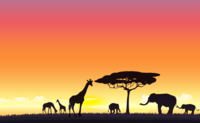giraffes and wild animals on the background of the sunset-background
