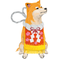 (Shiba Inu makeup turn) Year 2018 Zodiac