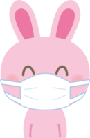兔子戴口罩的样子"笑容"