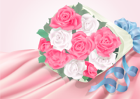 White and pink roses and cloth-background