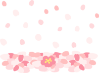 かわいい桜の散っていくイメージの桜