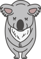 Koala bows