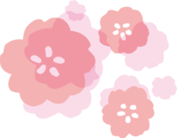 かわいい透け感のある桃の花-ひな祭り
