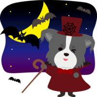 Halloween (Count Bat) Border-Collie (dog) cute animal