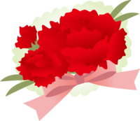 Corsage style fashionable red carnation