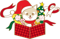 Cute Christmas (Shiba Inu Santa Claus presents)