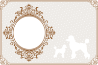 Dot gold Fashionable French frame Frame