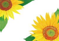 Large sunflower background frame frame illustration (fashionable and beautiful real edition)